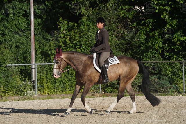sA9K05893.JPG